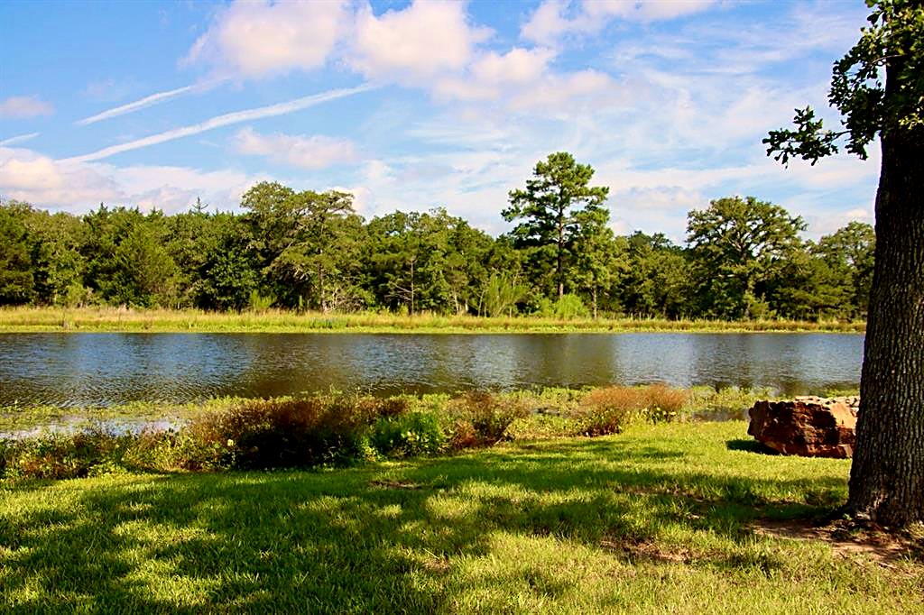 Brunwine Pond