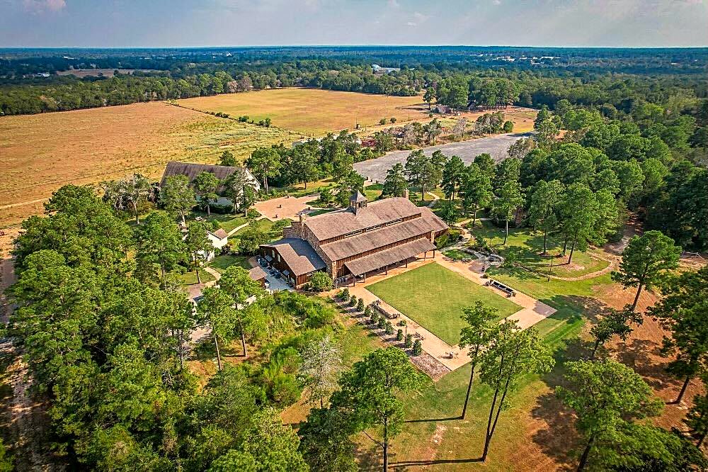 The Vineyard