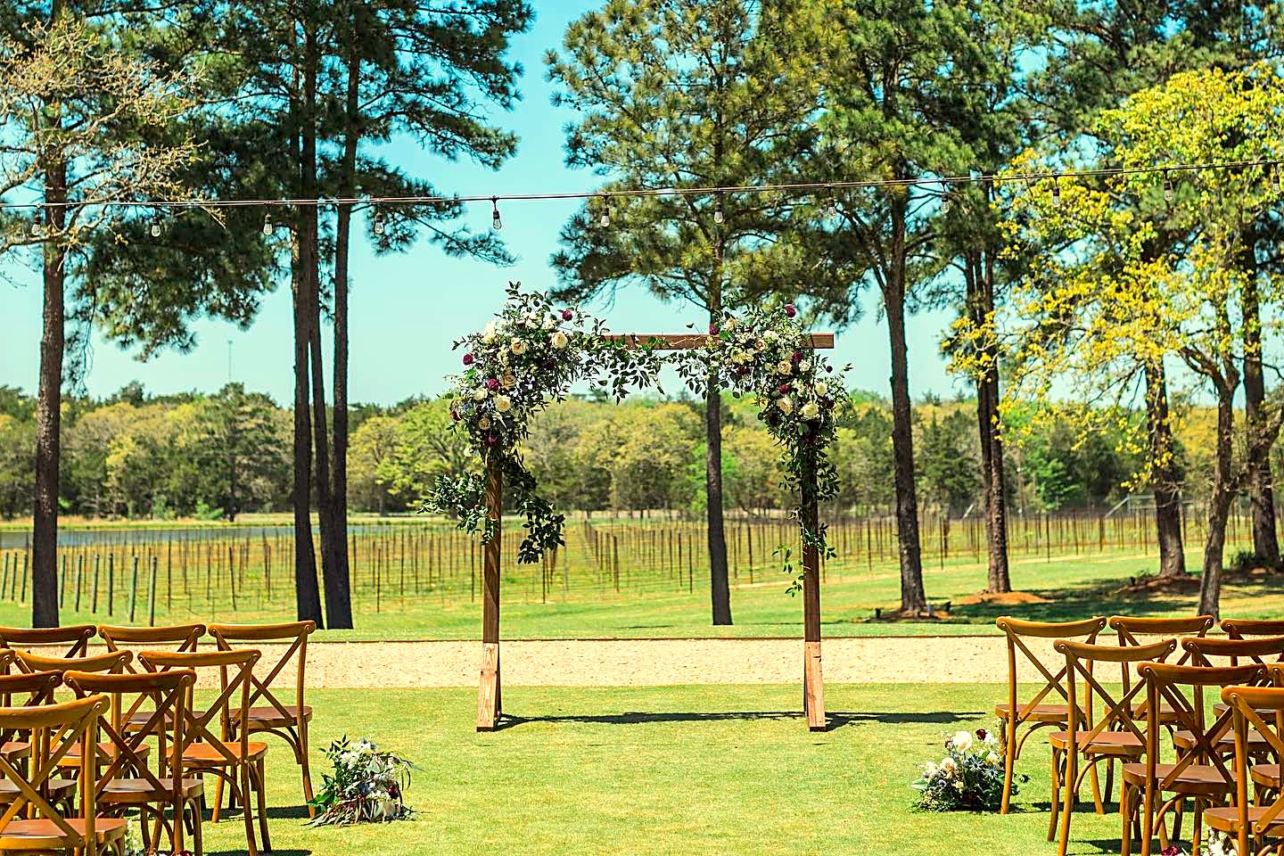 The Vine — property and event photography