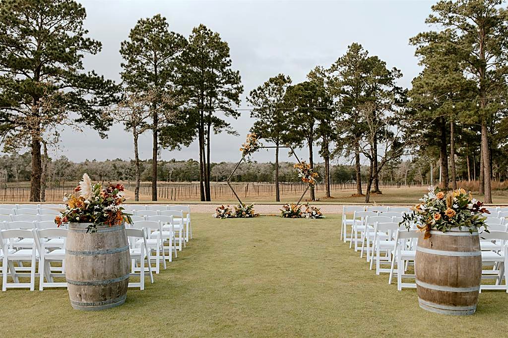 Vineyard Vista